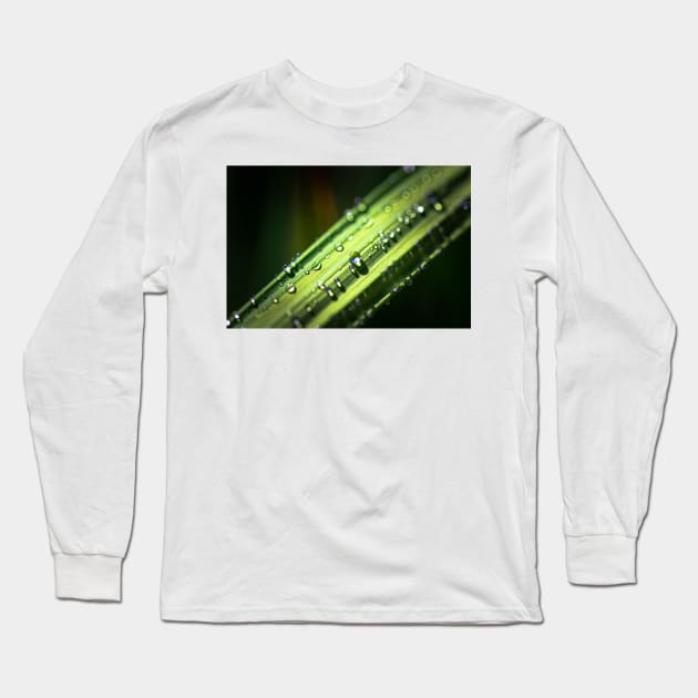 Dew drops on grass blade Long Sleeve T-Shirt by blossomcophoto